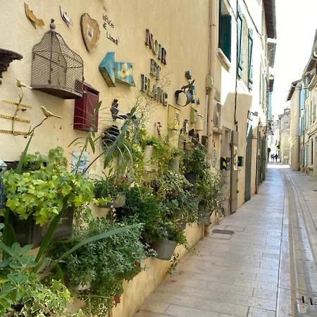 Le Loft Patio, Au Coeur Du Village Saint-Rémy-de-Provence Exterior photo